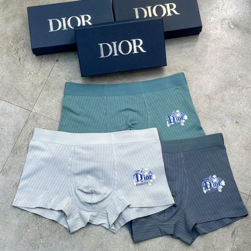 Christian Dior Underwear